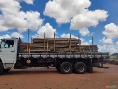 Imagem Estacas de eucalipto tratado Imagem Estacas de eucalipto tratado