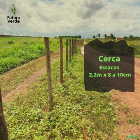 Imagem Estacas de eucalipto tratado Imagem Estacas de eucalipto tratado