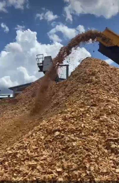 Biomassa Cavaco Exportação