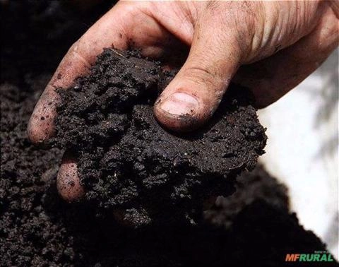 Húmus Puro de Minhoca Imagem Húmus Puro de Minhoca