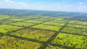 Fazenda para pecuária localizada no Chaco Paraguaio, Paraguai