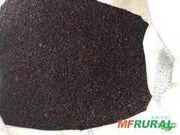 Pimenta do reino Imagem Pimenta do reino