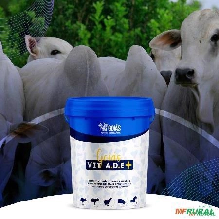 VIT ADE Núcleo Vitamínico Imagem VIT ADE Núcleo Vitamínico