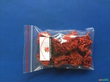 PIMENTAS CAROLINA REAPER DESIDRATADA (DESSECADA) Imagem PIMENTAS CAROLINA REAPER DESIDRATADA (DESSECADA)