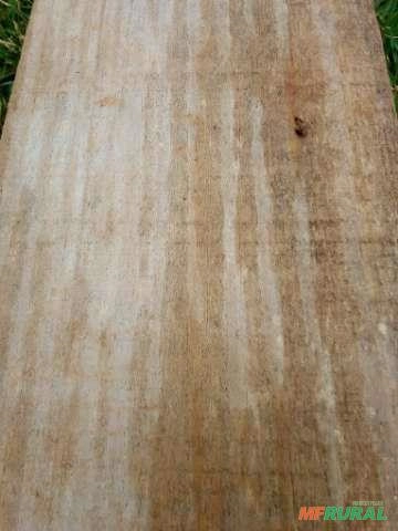 Pinus polegadas Imagem Pinus polegadas