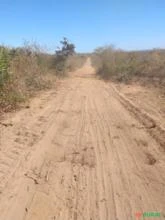vende-se terra em monte alegre do Piauí, 664 hectares derrubadas