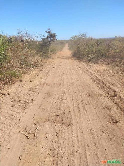 vende-se terra em monte alegre do Piauí, 664 hectares derrubadas