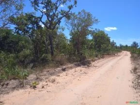 Fazenda em Gilbués PIAIU,