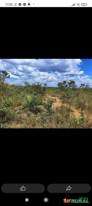 FAZENDA COM 13 mil hectares em Gilbués - PI