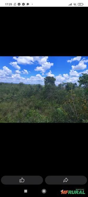 FAZENDA COM 13 mil hectares em Gilbués - PI