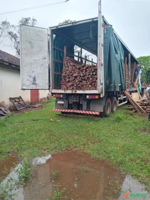 Imagem Estacas de Acapu Imagem Estacas de Acapu