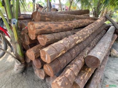 Imagem Estacas de Acapu Imagem Estacas de Acapu