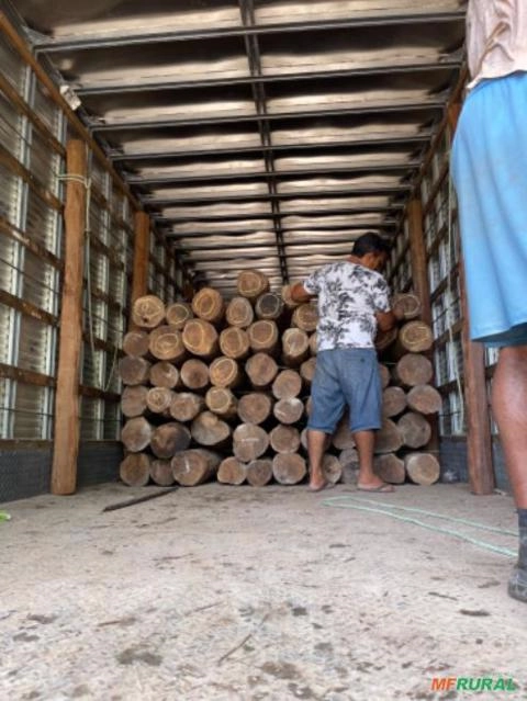 Imagem Estacas de Acapu Imagem Estacas de Acapu