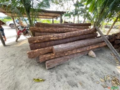 Imagem Estacas de Acapu Imagem Estacas de Acapu