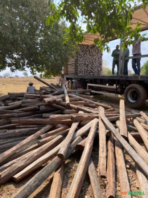 Imagem Estacas de Acapu Imagem Estacas de Acapu