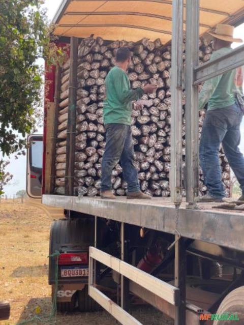 Imagem Estacas de Acapu Imagem Estacas de Acapu