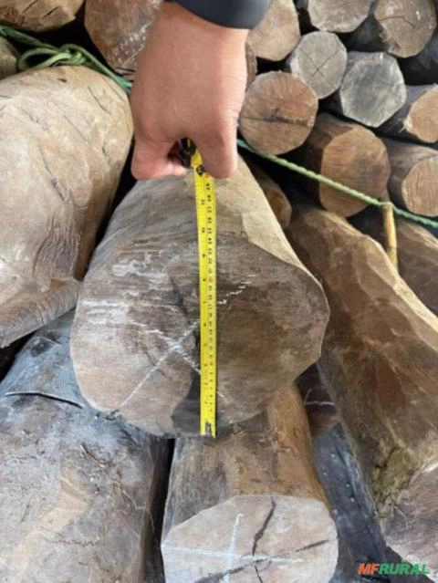 Imagem Estacas de Acapu Imagem Estacas de Acapu