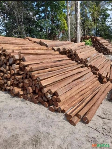 Estacas de Acapu Imagem Estacas de Acapu