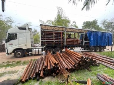 Imagem Estacas de Acapu Imagem Estacas de Acapu