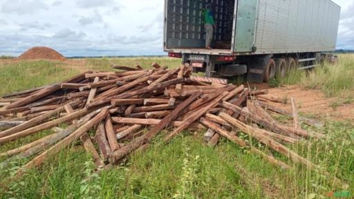 Imagem Estacas de Acapu Imagem Estacas de Acapu