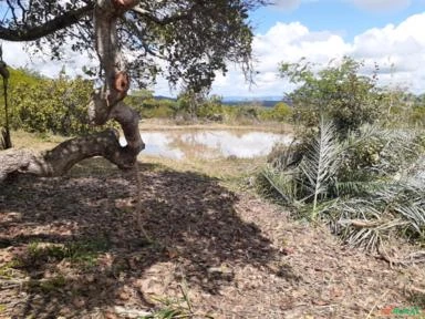 Fazenda de 220 Tarefas, 96 ha,  Sta. Terezinha, Salvador, BA, energia elétrica e água encanada.