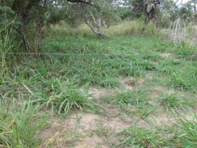 Fazenda de 220 Tarefas, 96 ha,  Sta. Terezinha, Salvador, BA, energia elétrica e água encanada.