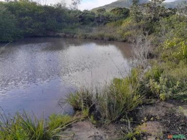 Fazenda de 220 Tarefas, 96 ha,  Sta. Terezinha, Salvador, BA, energia elétrica e água encanada.