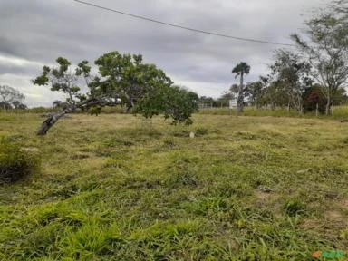 Fazenda de 220 Tarefas, 96 ha,  Sta. Terezinha, Salvador, BA, energia elétrica e água encanada.