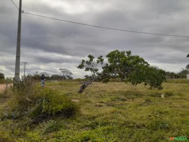 Fazenda de 220 Tarefas, 96 ha,  Sta. Terezinha, Salvador, BA, energia elétrica e água encanada.