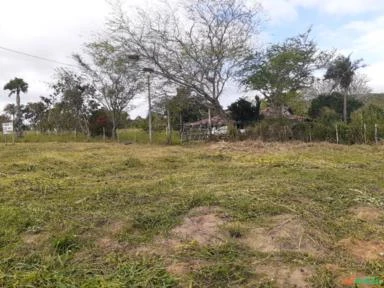 Fazenda de 220 Tarefas, 96 ha,  Sta. Terezinha, Salvador, BA, energia elétrica e água encanada.