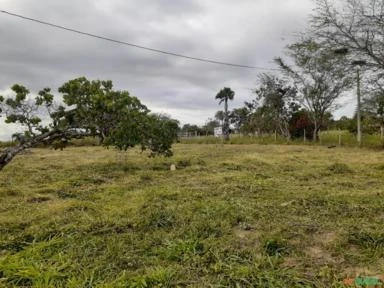 Fazenda de 220 Tarefas, 96 ha,  Sta. Terezinha, Salvador, BA, energia elétrica e água encanada.