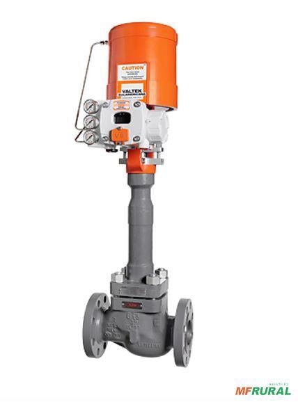 Válvula De Controle Excêntrica Exl 2 Imagem Válvula De Controle Excêntrica Exl 2