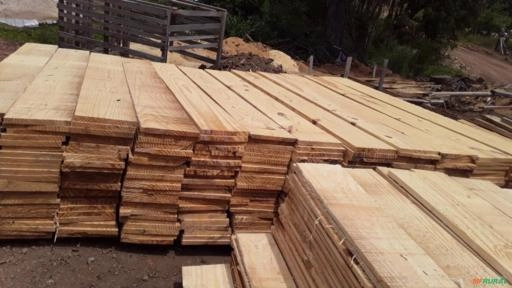 Madeiras Imagem Madeiras