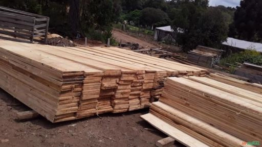 Imagem Madeiras Imagem Madeiras