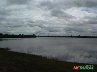 Fazenda de 83.346 hectares em São Felix do Araguaia