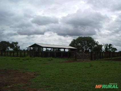 Fazenda de 83.346 hectares em São Felix do Araguaia