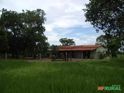 Fazenda de 83.346 hectares em São Felix do Araguaia