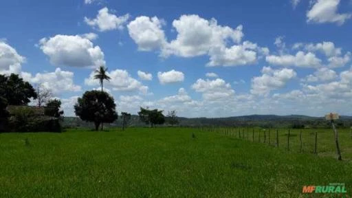 Fazenda em Conceição do Jacuípe - BA