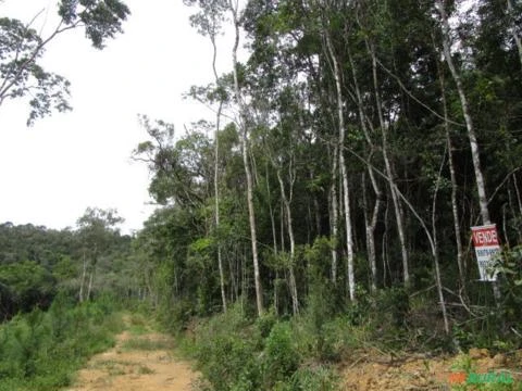 Área Rural em Tunas do Paraná - PR