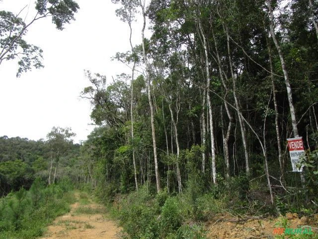 Área Rural em Tunas do Paraná - PR