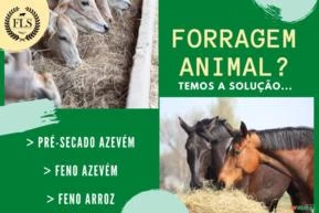 FORRAGEM ANIMAL -  Pré  Secados e Fenos