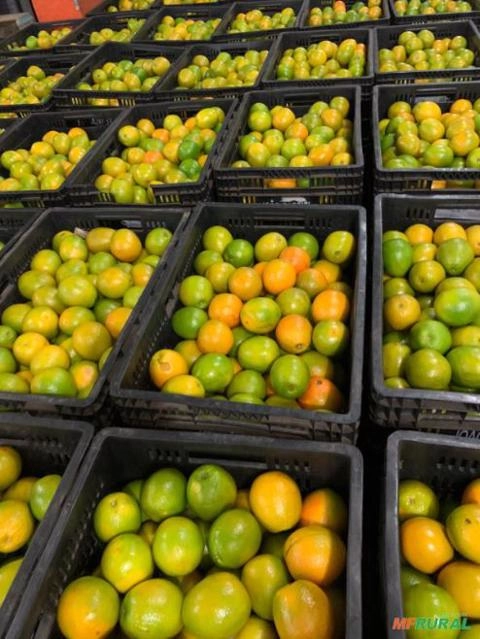 LARANJA Imagem LARANJA