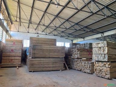 Madeira Serrada de Eucalipto Imagem Madeira Serrada de Eucalipto