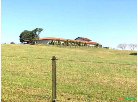 Haras à venda, 1064800 m² por R$ 22.000.000,00 - Miringuava - São José dos Pinhais/PR