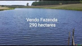 Fazenda 290 Hectares em Lajedão Bahia