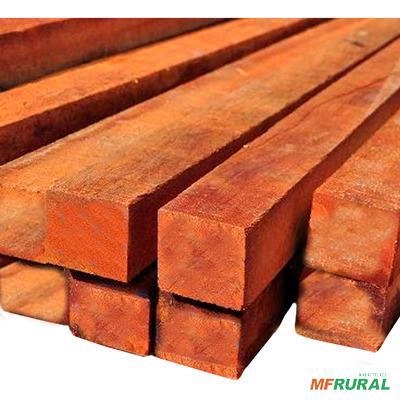 Caibro de Paraju - Varias Medidas Imagem Caibro de Paraju - Varias Medidas