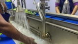 Linha completa de Lavagem de Vegetais e Legumes Imagem Linha completa de Lavagem de Vegetais e Legumes