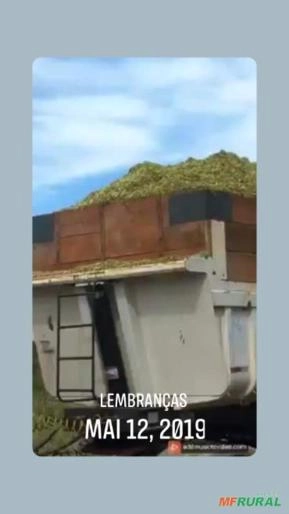 Silagem de milho para gado leiteira. e prestação de serviço de corte . Também vendemos milho verde p Silagem de milho para gado leiteira. e prestação de serviço de corte . Também vendemos milho verde p