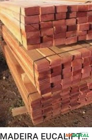 Vigamentos De Eucalipto Imagem Vigamentos De Eucalipto