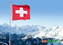 Imagem Compramos Metais e Ligas Metálicas para Exportação Imagem Compramos Metais e Ligas Metálicas para Exportação